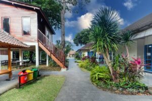 drop off and pick up services from ubud to bali international school