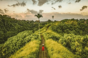 campuhan ridge walk ubud tour package